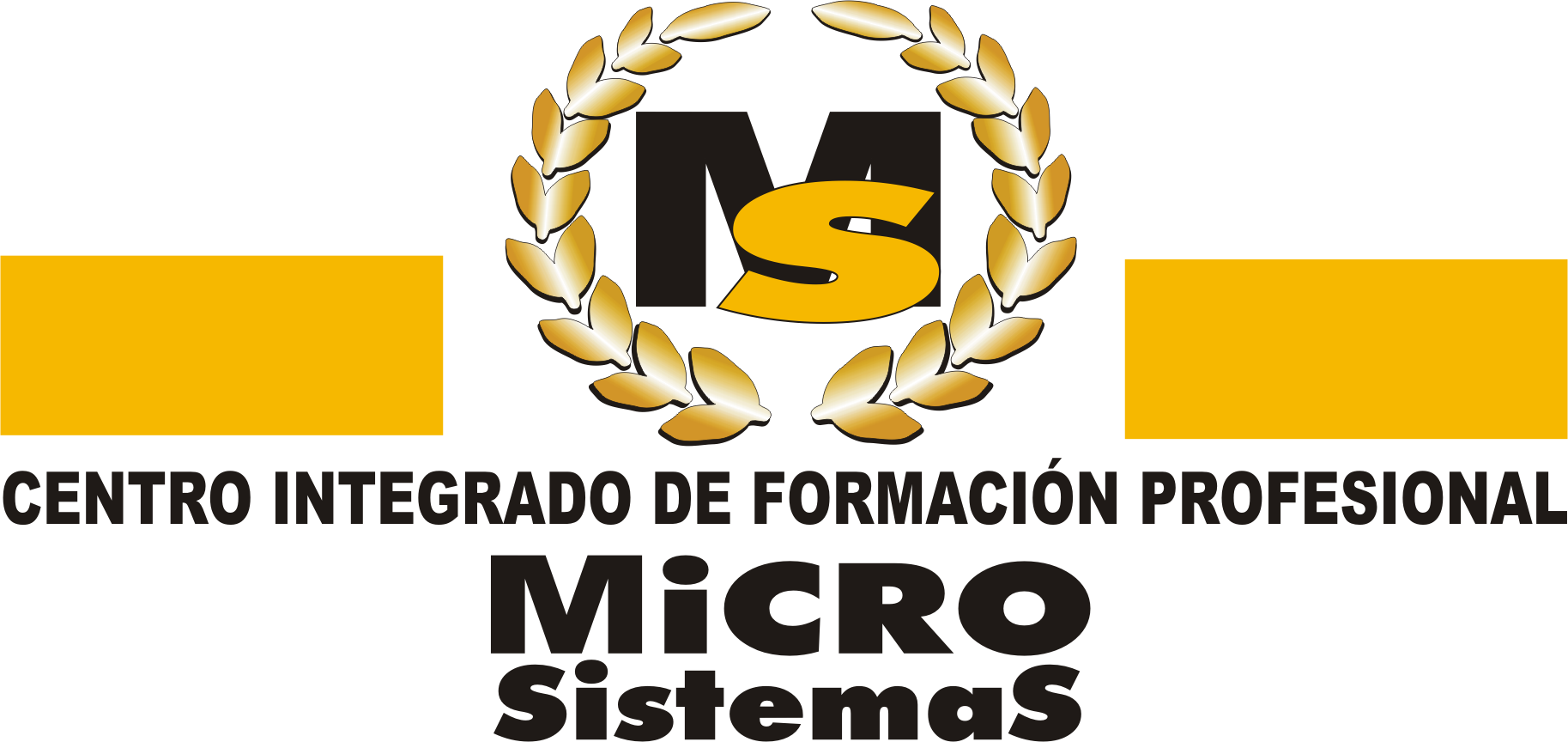 Microsistemas